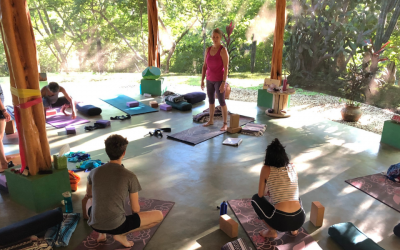 The Value of Yoga Teachers